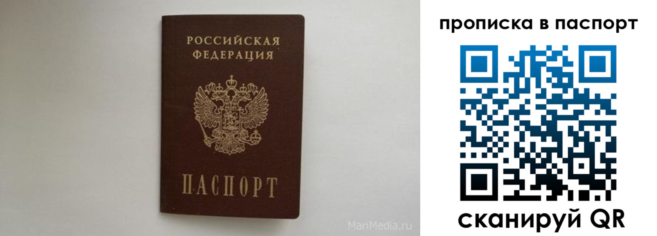 регистрация для школы в Ростове